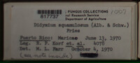 Image Associated With the Occurence